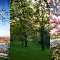 Ausflug_20090412_088.jpg